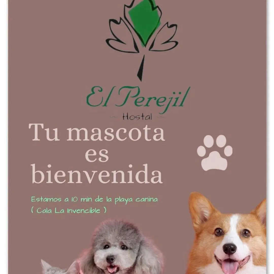 Hostal El Perejil 库埃瓦斯德拉尔曼索拉 0*,  西班牙